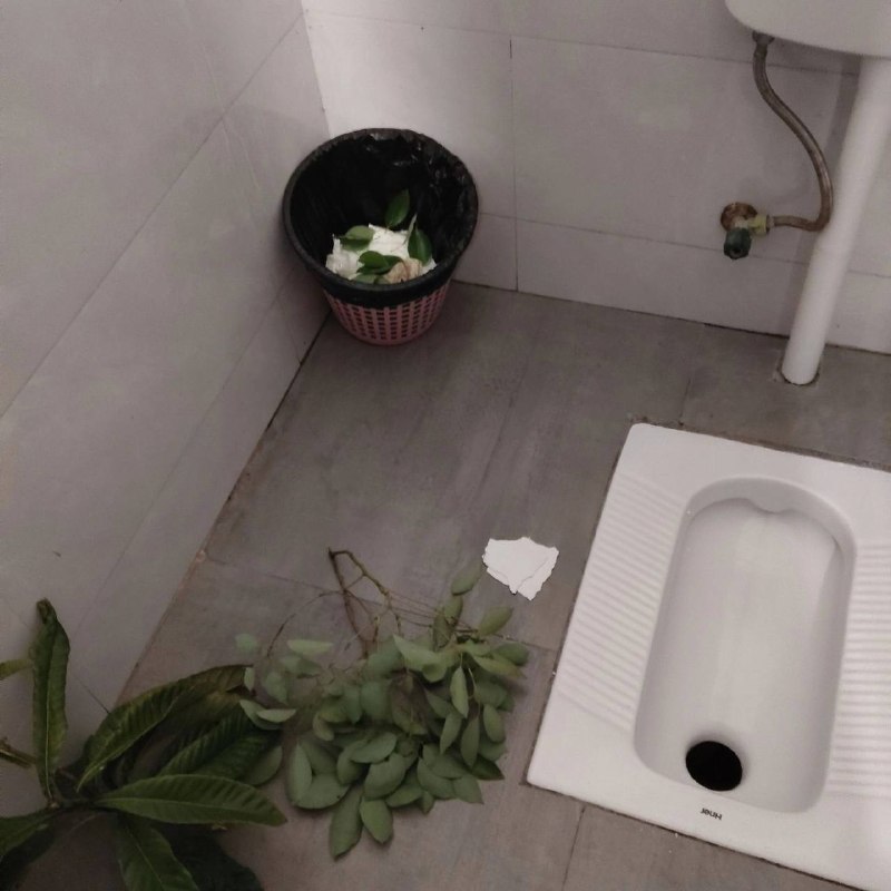 那个前辈到底经历了什么