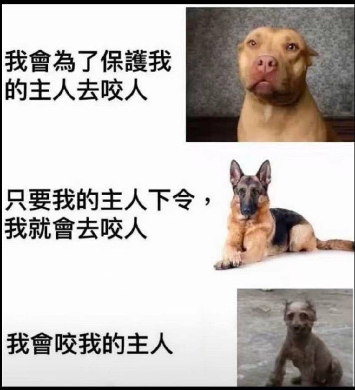 干了兄弟们￼￼