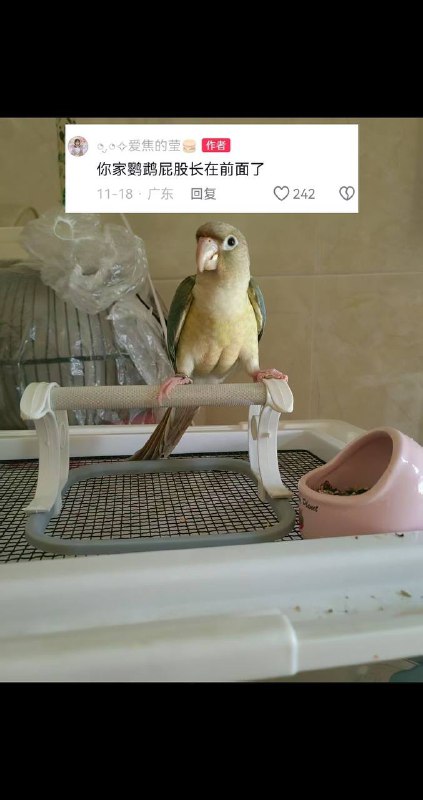 这是逼我说实话