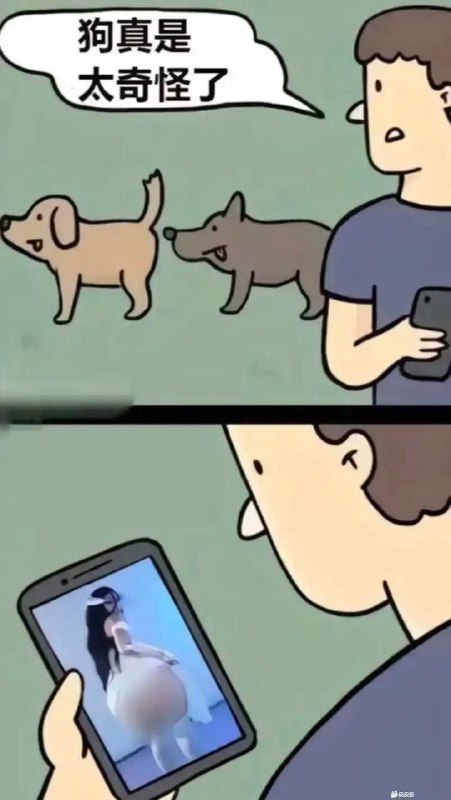 狗:都一个德行，叫什么