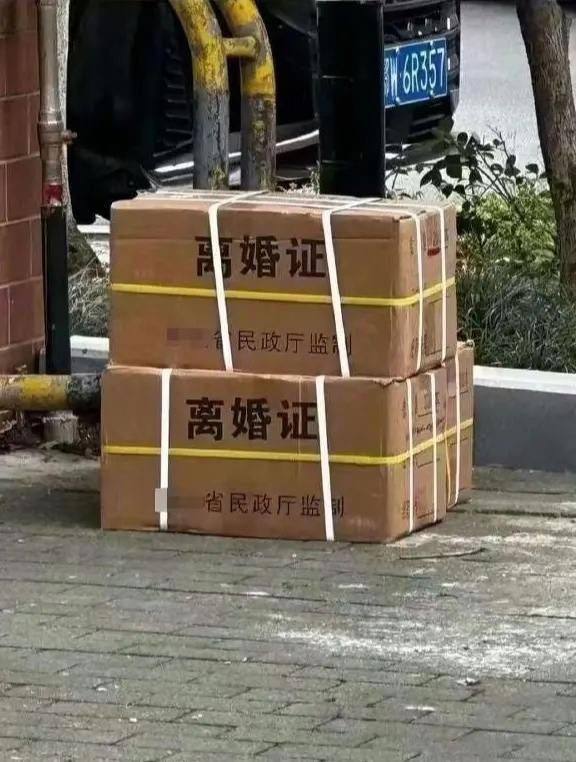 问世间情为何物