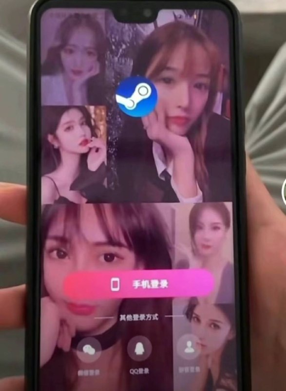 steam 是下这个吗