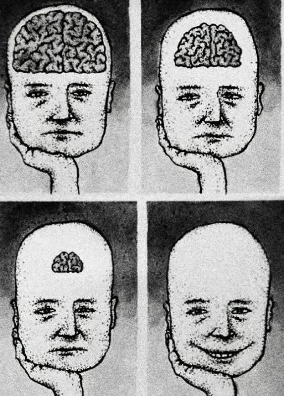 悟了吗