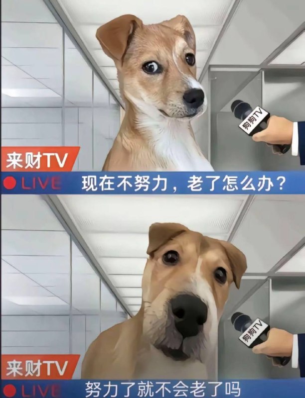 不努力都不老那么快