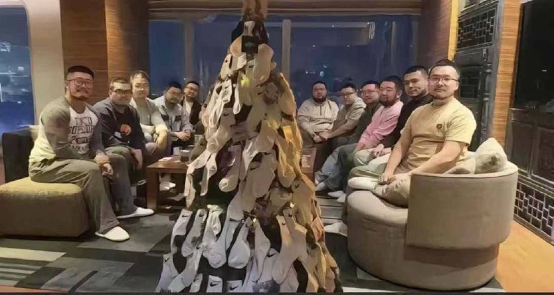 圣诞树已经准备好了