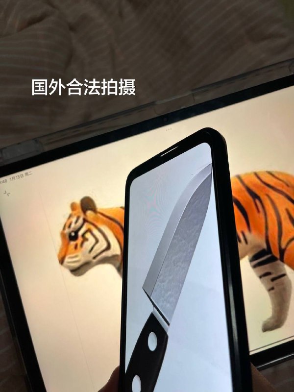 属虎的人看不得