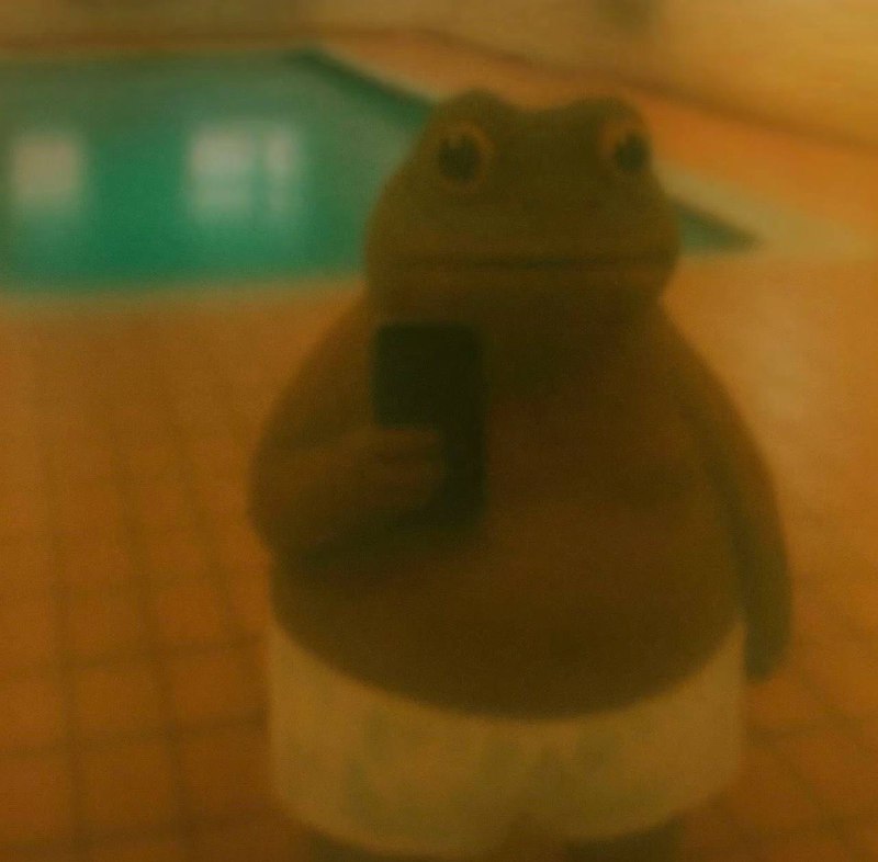 新头像来了新头像来了