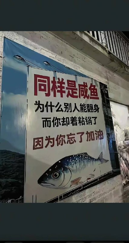 咸鱼翻身只会两面金黄