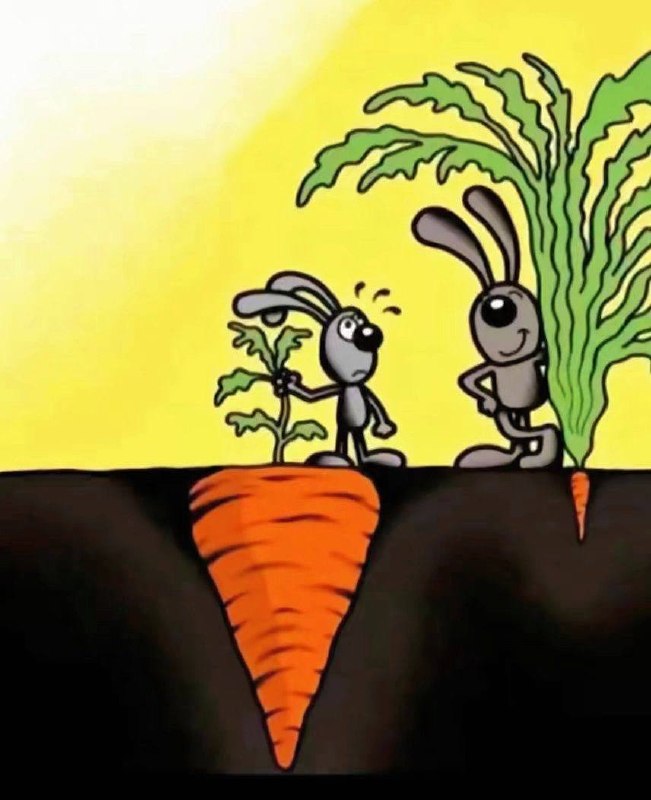 看懂了 原来毛越多越