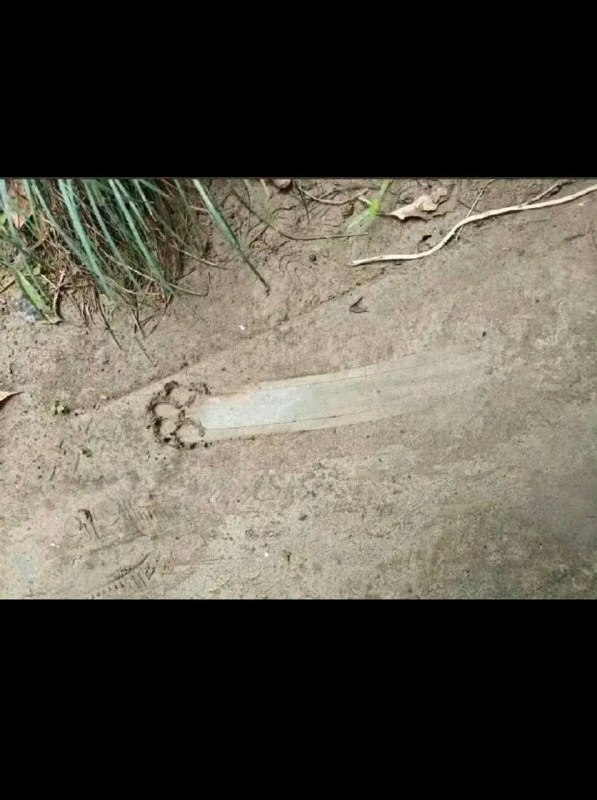 光脚走路打滑很正常