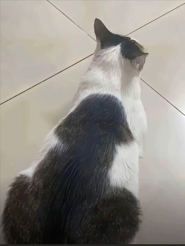 了吧急成看 #咪咪了吧急成看 #咪咪