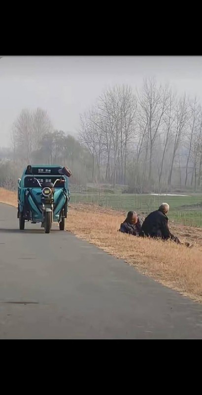 欲买桂花同载酒，终不似少年游
