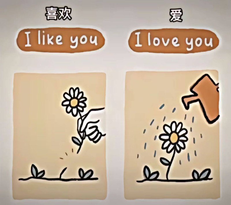喜欢和爱是两种概念￼￼