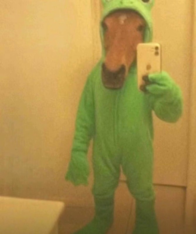 新头像来了新头像来了