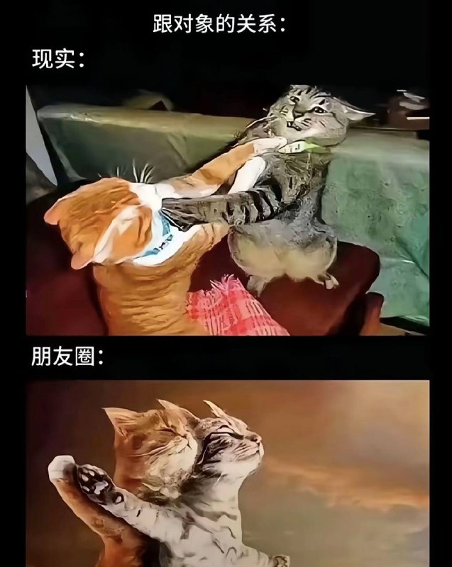 是这样吗