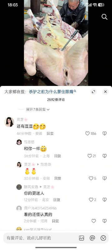 欢乐豆