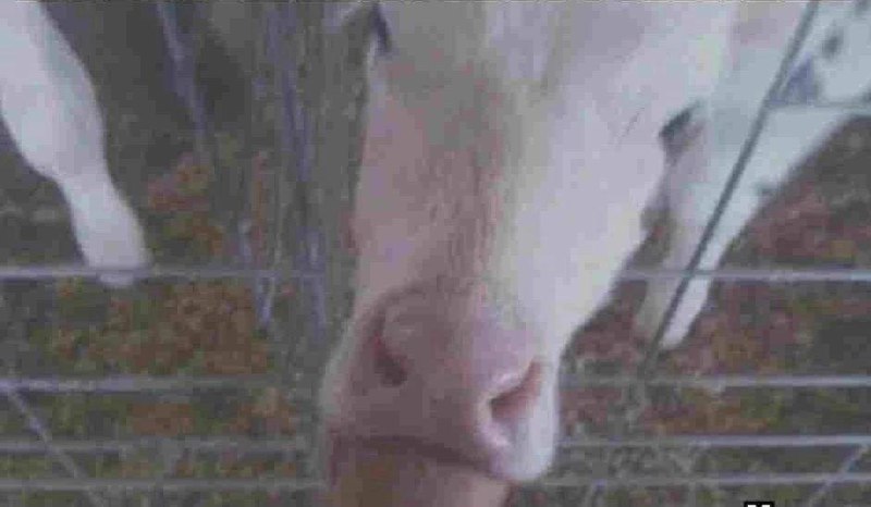 谁去试试 感觉包裹性很强