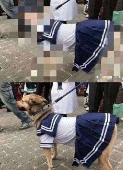 没忍住看到第二张图