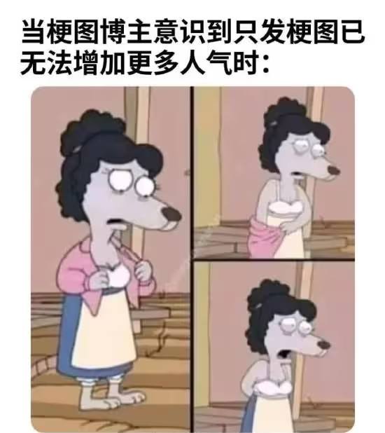 算了，你们不争气