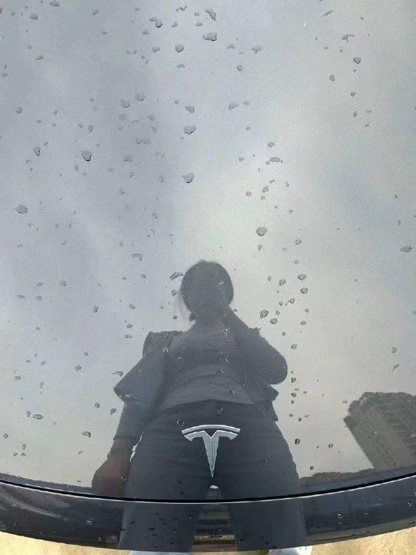#特斯拉