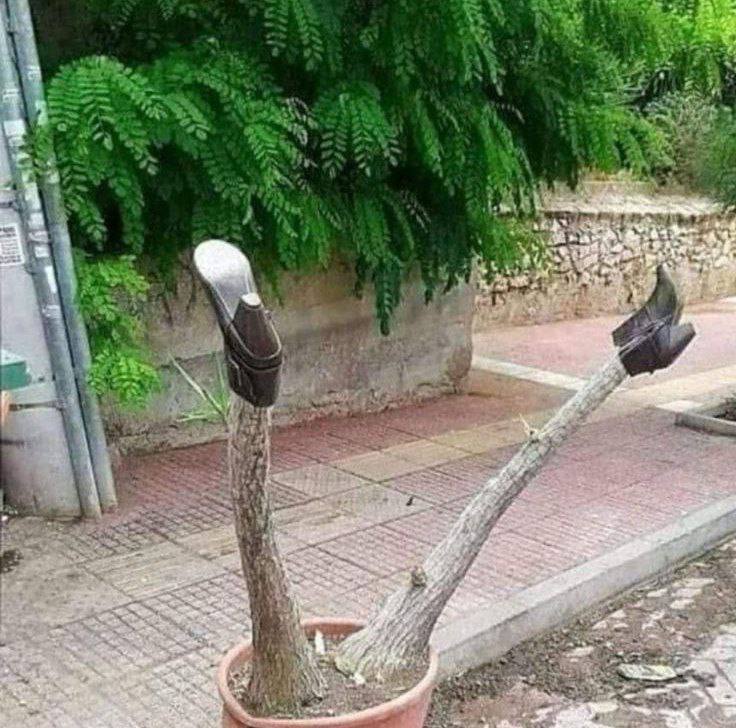 有点色情了