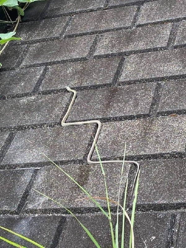 #蛇 按规则行事