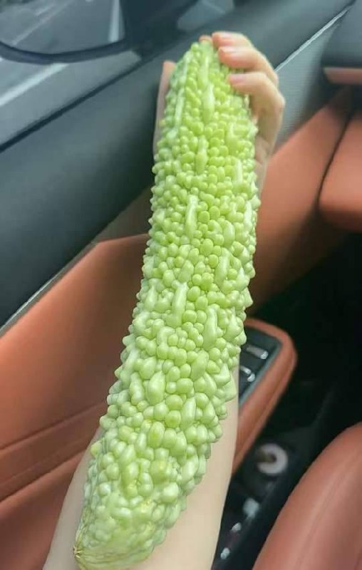 会坏掉的