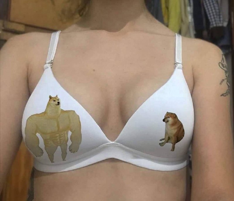 #meme #狗